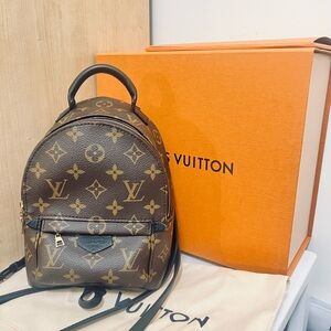 Louis Vuitton Palm Springs mini